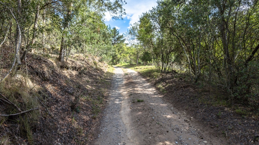 Commercial Property for Sale in Sedgefield Rural Western Cape